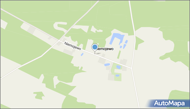 Niemojewo gmina Dąbrowa Biskupia, Niemojewo, mapa Niemojewo gmina Dąbrowa Biskupia