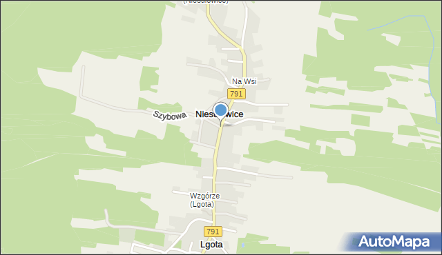 Niesułowice gmina Olkusz, Niesułowice, mapa Niesułowice gmina Olkusz