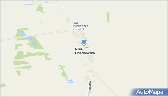 Niwa Odechowska, Niwa Odechowska, mapa Niwa Odechowska