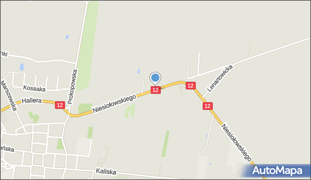 Pleszew, Niesiołowskiego Kazimierza, ks., mapa Pleszew