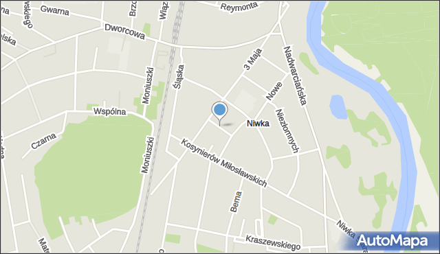 Puszczykowo powiat poznański, Nizinna, mapa Puszczykowo powiat poznański