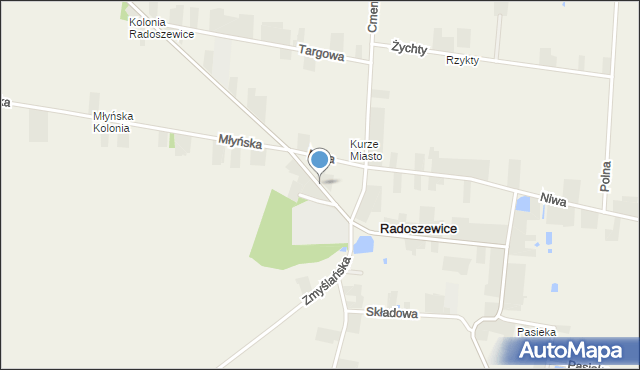 Radoszewice gmina Siemkowice, Niemojewskich, mapa Radoszewice gmina Siemkowice