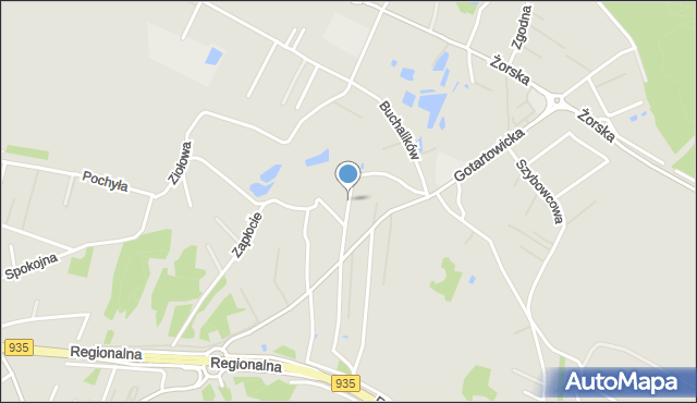 Rybnik, Niska, mapa Rybnika