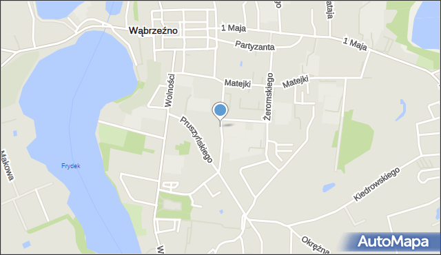 Wąbrzeźno, Niedziałkowskiego Mieczysława, mapa Wąbrzeźno