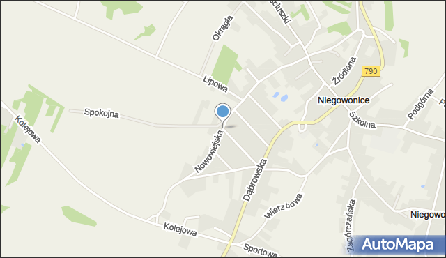 Niegowonice, Nowowiejska, mapa Niegowonice