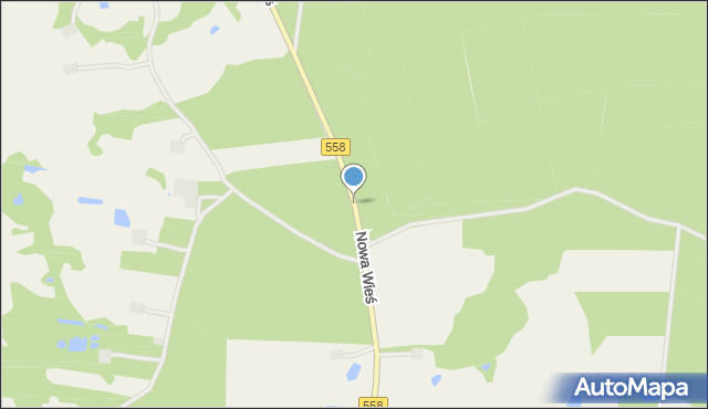 Nowa Wieś gmina Wielgie, Nowa Wieś, mapa Nowa Wieś gmina Wielgie