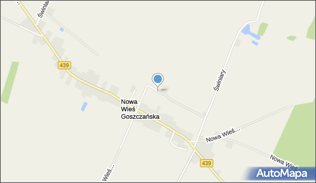 Nowa Wieś Goszczańska, Nowa Wieś Goszczańska, mapa Nowa Wieś Goszczańska