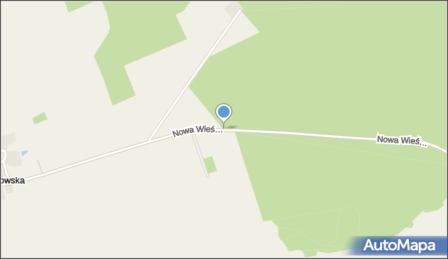Nowa Wieś Niechanowska, Nowa Wieś Niechanowska, mapa Nowa Wieś Niechanowska