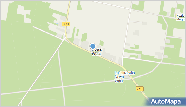 Nowa Wola gmina Grabów nad Pilicą, Nowa Wola, mapa Nowa Wola gmina Grabów nad Pilicą