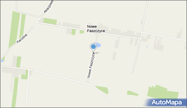 Nowe Faszczyce, Nowe Faszczyce, mapa Nowe Faszczyce