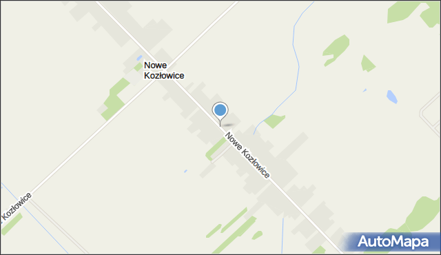 Nowe Kozłowice, Nowe Kozłowice, mapa Nowe Kozłowice