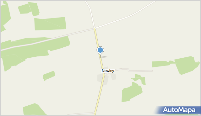 Nowiny gmina Przytoczna, Nowiny, mapa Nowiny gmina Przytoczna