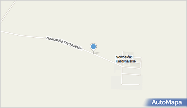 Nowosiółki Kardynalskie, Nowosiółki Kardynalskie, mapa Nowosiółki Kardynalskie