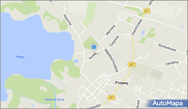 Pniewy powiat szamotulski, Nowa, mapa Pniewy powiat szamotulski