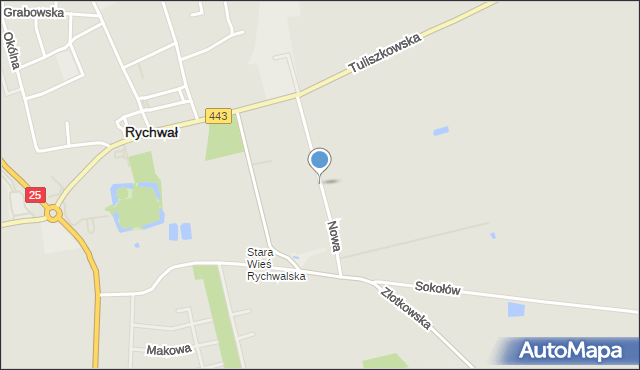 Rychwał, Nowa, mapa Rychwał