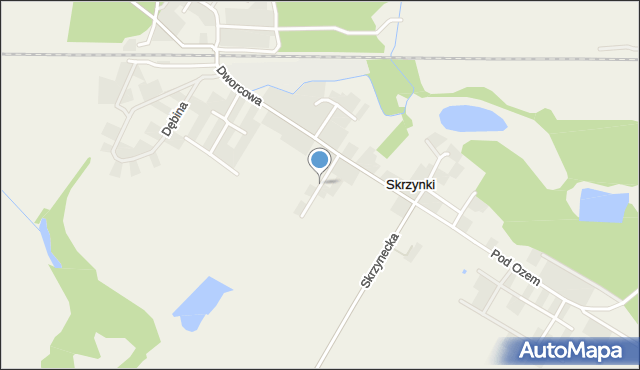 Skrzynki gmina Stęszew, Nowa, mapa Skrzynki gmina Stęszew