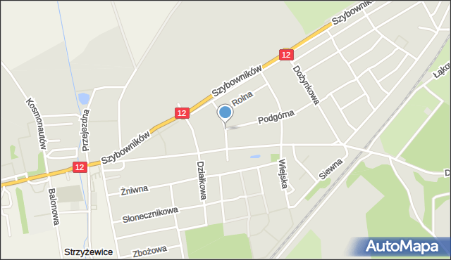 Leszno, Ochocza, mapa Leszno