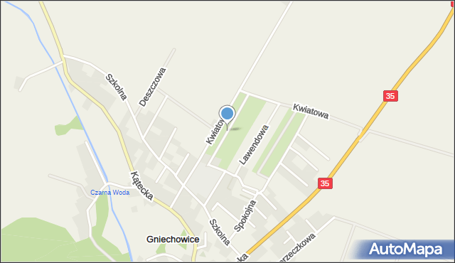 Gniechowice, Ogrodowa, mapa Gniechowice