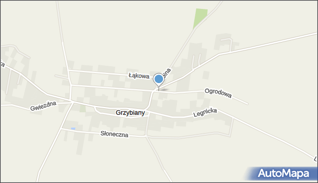 Grzybiany, Ogrodowa, mapa Grzybiany