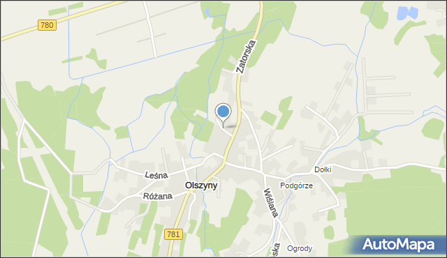 Olszyny gmina Babice, Ogrodnicza, mapa Olszyny gmina Babice