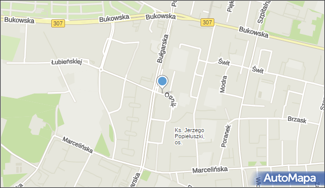 Poznań, Ognik, mapa Poznania