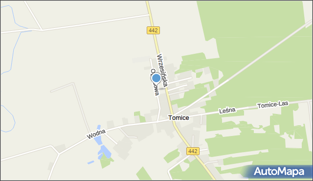 Tomice gmina Gizałki, Ogrodowa, mapa Tomice gmina Gizałki