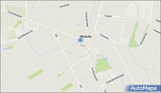 Wiskitki, Ogrodowa, mapa Wiskitki