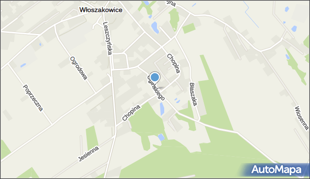 Włoszakowice, Ogińskiego Michała Kleofasa, mapa Włoszakowice