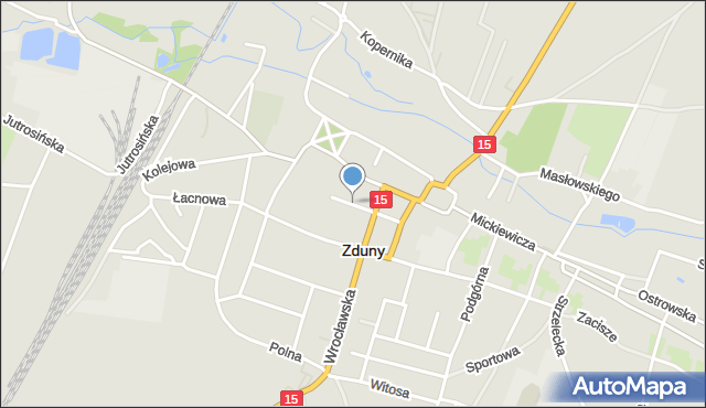 Zduny powiat krotoszyński, Okrężna, mapa Zduny powiat krotoszyński