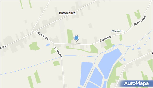 Borowianka, Olszowiec, mapa Borowianka