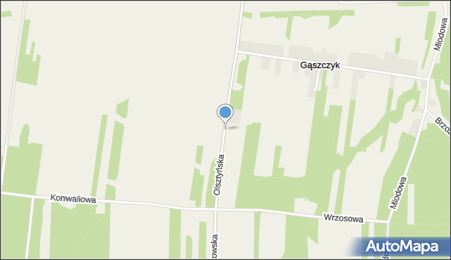 Gąszczyk, Olsztyńska, mapa Gąszczyk