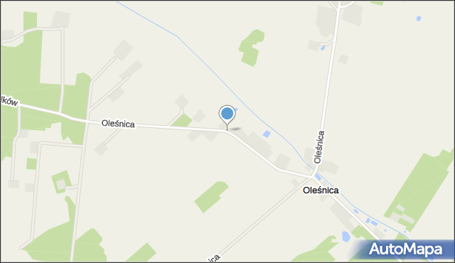 Oleśnica gmina Dalików, Oleśnica, mapa Oleśnica gmina Dalików