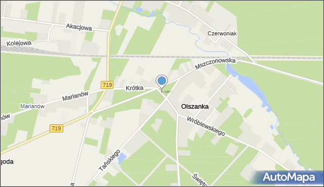 Olszanka gmina Puszcza Mariańska, Olszanka, mapa Olszanka gmina Puszcza Mariańska