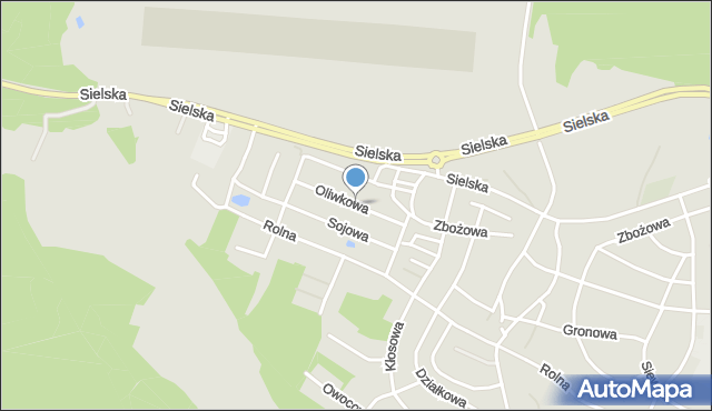 Olsztyn, Oliwkowa, mapa Olsztyna