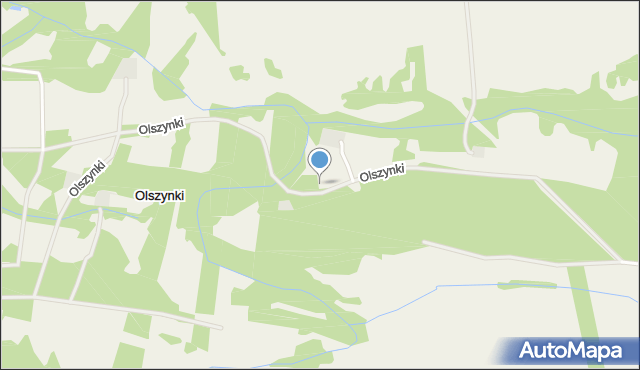 Olszynki gmina Młodzieszyn, Olszynki, mapa Olszynki gmina Młodzieszyn