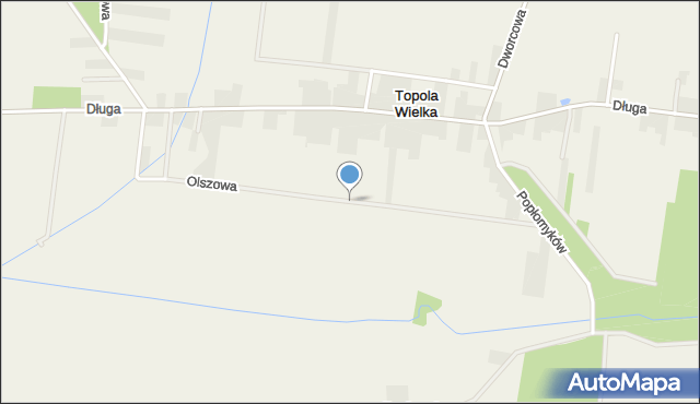 Topola Wielka, Olszowa, mapa Topola Wielka