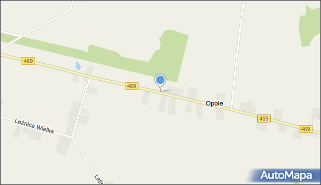 Opole gmina Parzęczew, Opole, mapa Opole gmina Parzęczew