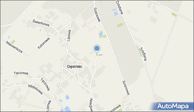 Gęsiniec, Orzechowa, mapa Gęsiniec