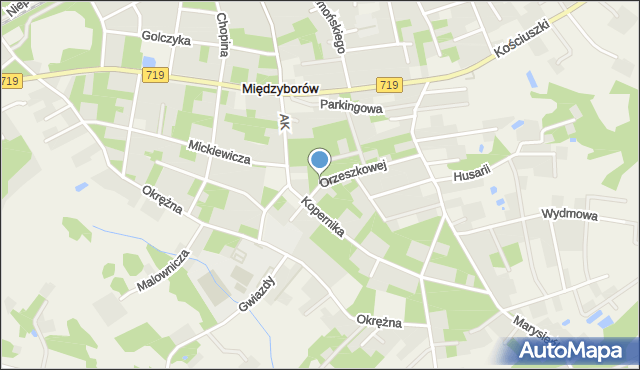 Międzyborów, Orzeszkowej Elizy, mapa Międzyborów