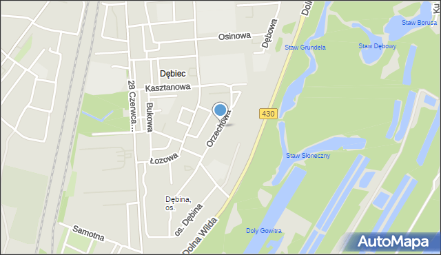 Poznań, Orzechowa, mapa Poznania