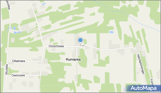 Rumianka, Orzechowa, mapa Rumianka