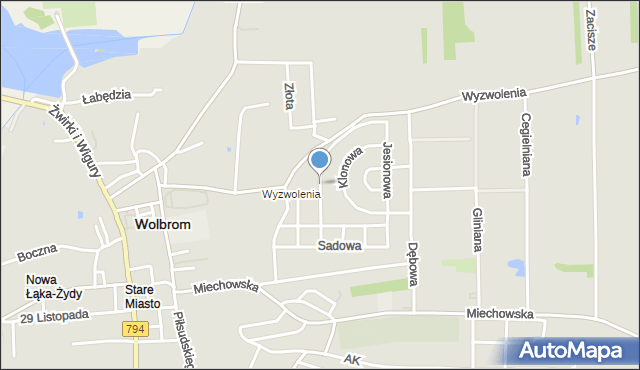 Wolbrom, Orzechowa, mapa Wolbrom
