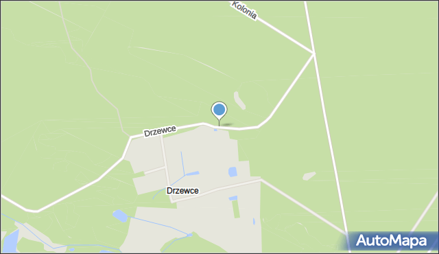 Gostynin, Osada Drzewce, mapa Gostynin