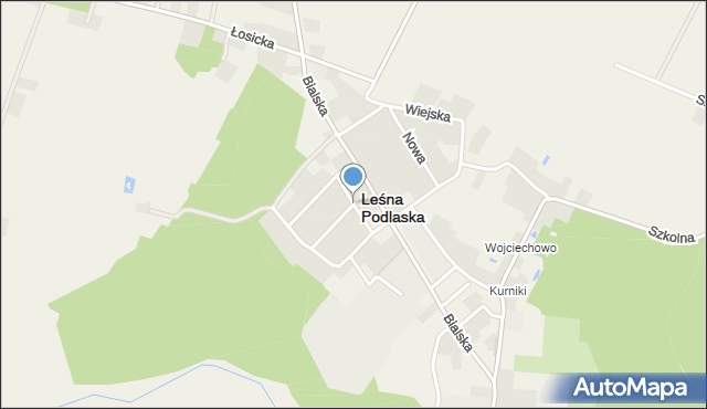 Leśna Podlaska, Osiedlowa, mapa Leśna Podlaska