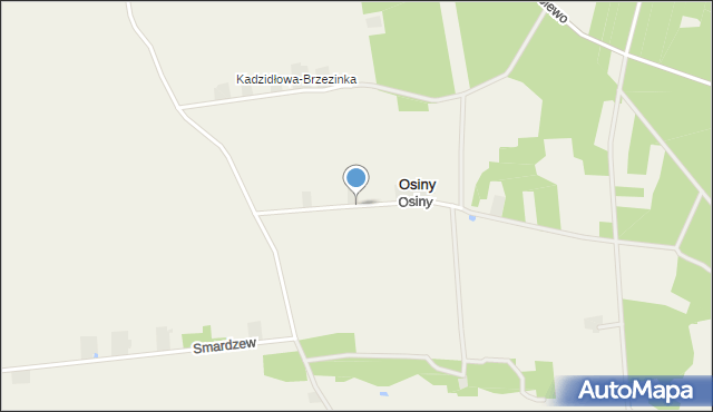 Osiny gmina Grabów, Osiny, mapa Osiny gmina Grabów