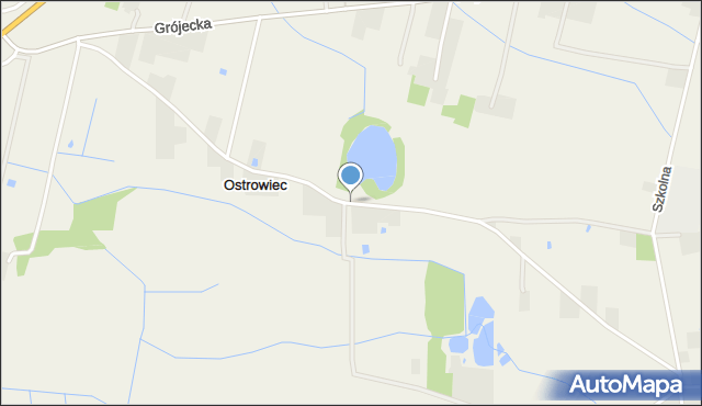 Ostrowiec gmina Chynów, Ostrowiec, mapa Ostrowiec gmina Chynów