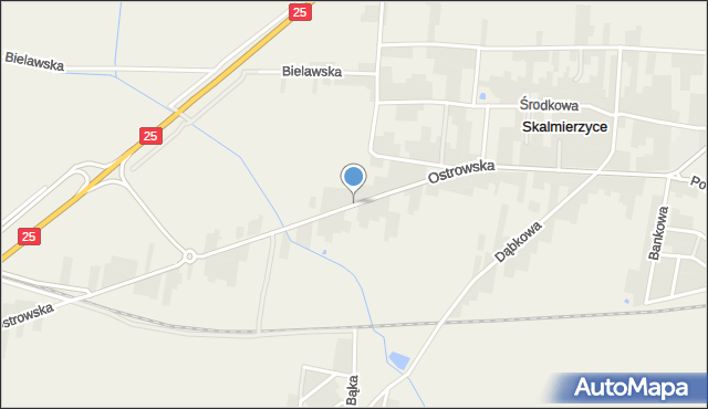 Skalmierzyce, Ostrowska, mapa Skalmierzyce