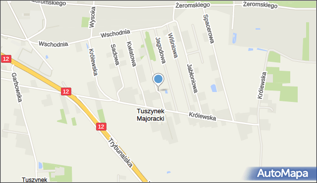 Tuszynek Majoracki, Owocowa, mapa Tuszynek Majoracki