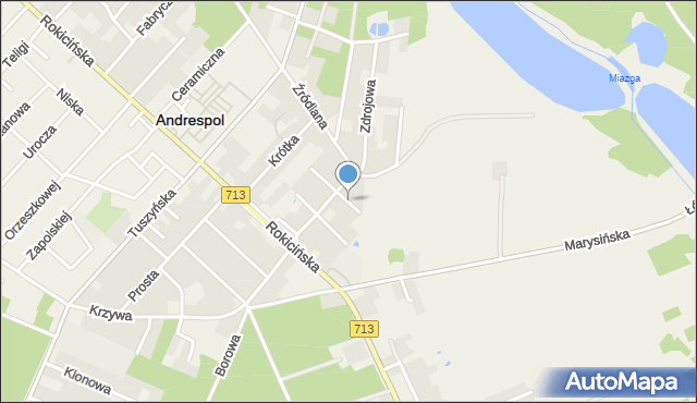 Andrespol, Paderewskiego Ignacego Jana, mapa Andrespol