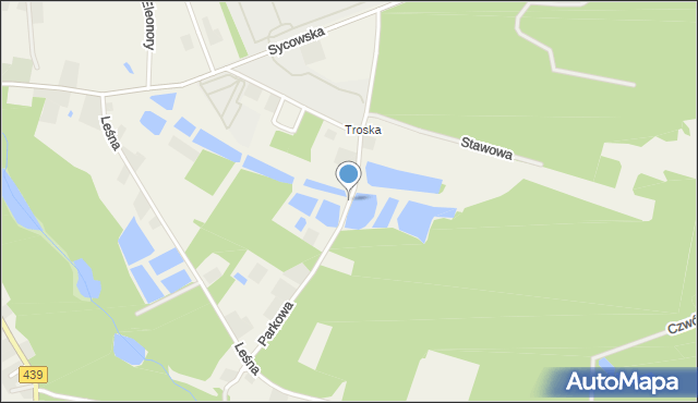 Goszcz, Parkowa, mapa Goszcz